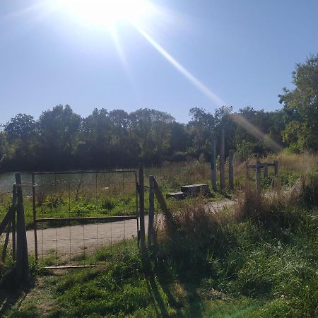 Gîte La Pironnière - Piscine, Nature, au bord de la Rivière Montreuil-sur-Maine Esterno foto