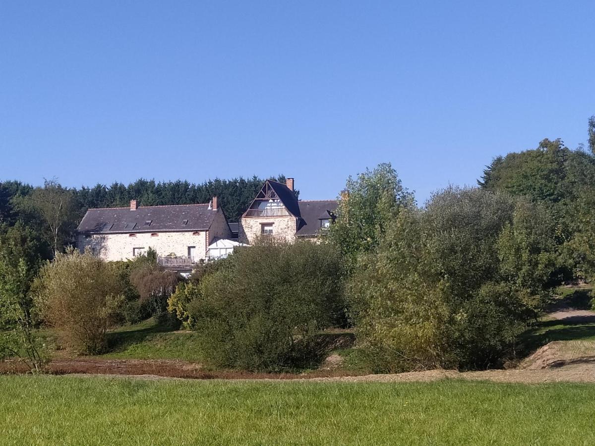 Gîte La Pironnière - Piscine, Nature, au bord de la Rivière Montreuil-sur-Maine Esterno foto