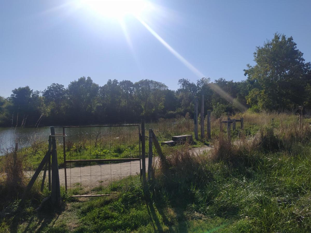 Gîte La Pironnière - Piscine, Nature, au bord de la Rivière Montreuil-sur-Maine Esterno foto